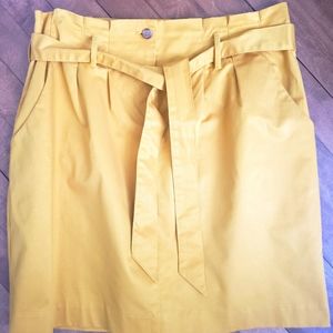 Banana Republic Skirt Size 12